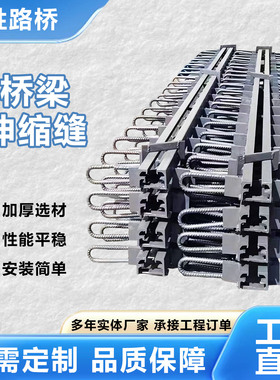 公路桥梁伸缩缝伸缩装置C型40型60型F型E型80型160型变形缝毛勒缝