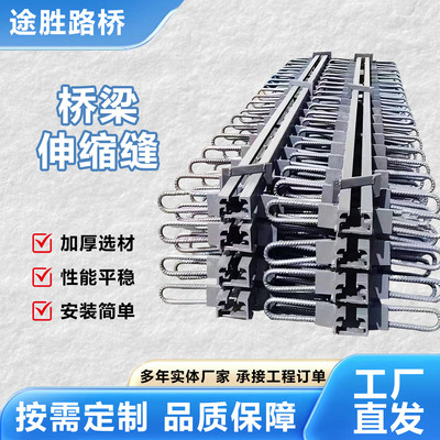 公路桥梁伸缩缝伸缩装置C型40型60型F型E型80型160型变形缝毛勒缝