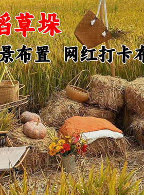 天然草垛干稻草谷草网红打卡环创教室走廊场景布置摆件挂饰微景观