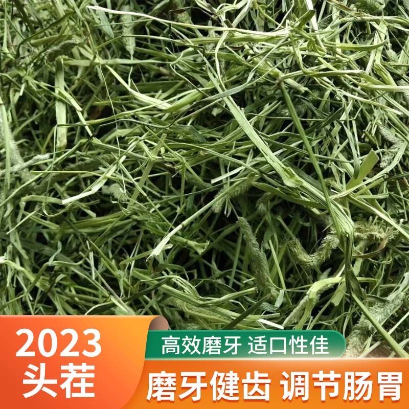 宠物兔子吃的北提摩西草晒干牧草豚鼠饲料龙猫专用岷县23年新提草