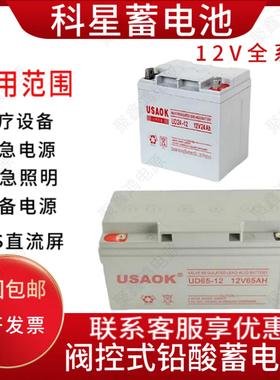 USAOK科星蓄电池 UD/12V24AH38AH65AH100AH120AH UPS/EPS消防应急