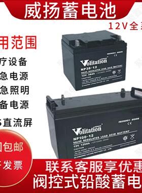 Volitation威扬蓄电池NP100-12现货供应12V24A38A65A100A120A机房
