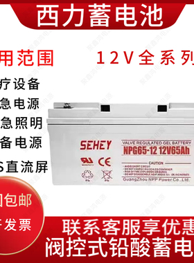 SEHEY西力SH65 NPG100-12蓄电池12V17.24.38.40.55.150.200.250AH
