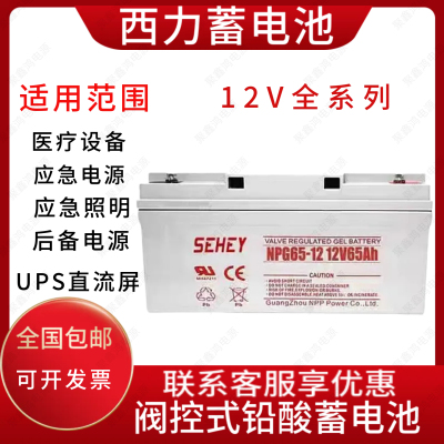 SEHEY西力SH65 NPG100-12蓄电池12V17.24.38.40.55.150.200.250AH