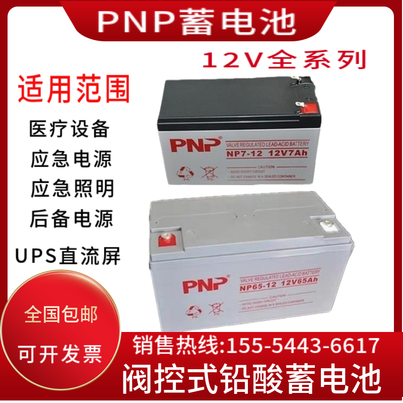 PNP蓄电池NP65-12/12V7A12A17A24A38A40A65A100A120A150AH消防EPS