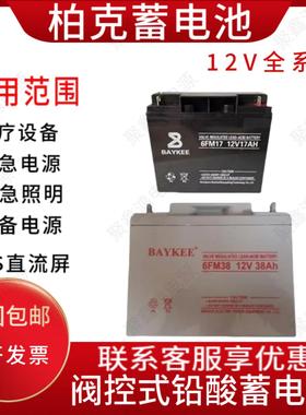 BAYKEE柏克蓄电池6FM100 12V100AH17/24/38/65AH120AHUPS应急电源
