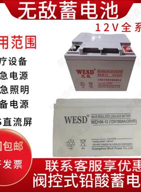 WESD无敌蓄电池WD65-127A12A17A24A38A40A55A65A100A120A150A应急