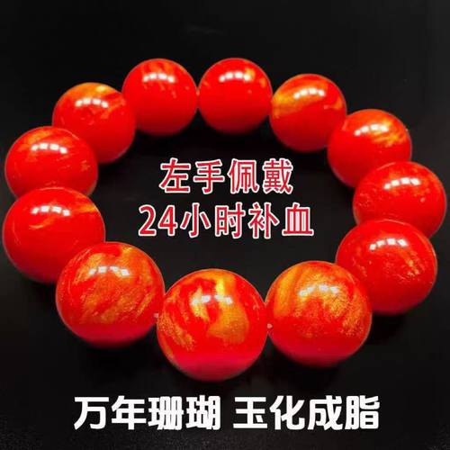 鸽血红珍品深海血灵芝手串