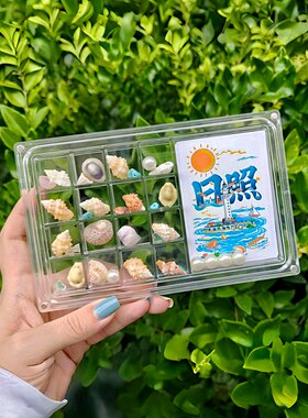 亚克力透明贝壳收纳盒大号带相框