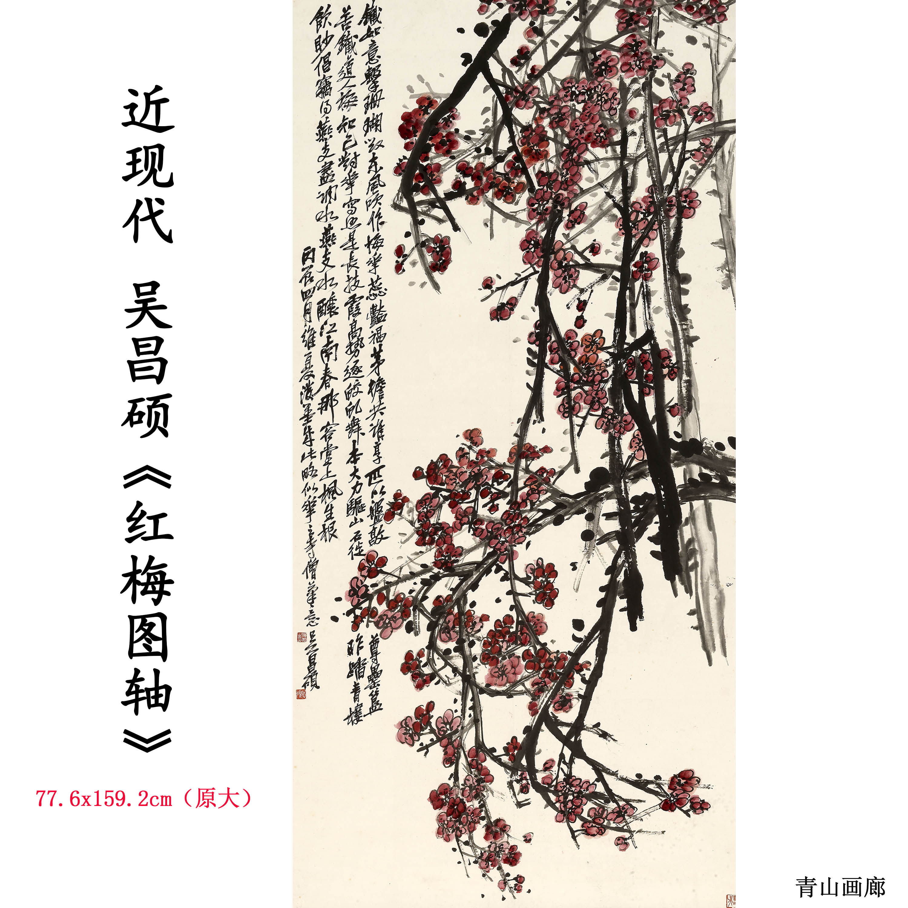 吴昌硕红梅图轴花卉水墨画国画