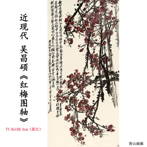 吴昌硕红梅图轴花卉水墨画国画