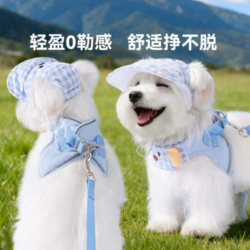 宠物牵引绳四季通用外出遛狗绳带