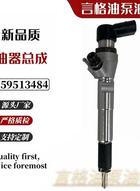 A2C59513484 压电喷油器 166004305R 5WS40536 适用于雷诺车型