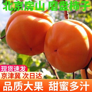 北京房山特大磨盘柿子新鲜甜软盆柿盘柿10斤非脆柿可做冻柿揽柿子