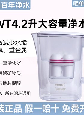 德国BWT倍世4.2L益家系列净水壶家用厨房大容量过滤水净水壶