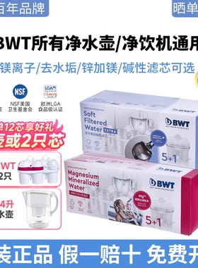 德国倍世BWT净水壶净饮机滤芯
