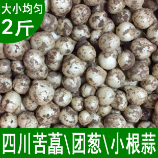 四川苦藠新鲜薤白小根蒜苦芥山葱野葱头农家自种苦茭团葱2斤 包邮