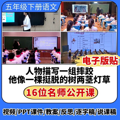 人物描写一组 摔跤 他像一棵挺脱的树 两茎灯草公开课ppt课件教案
