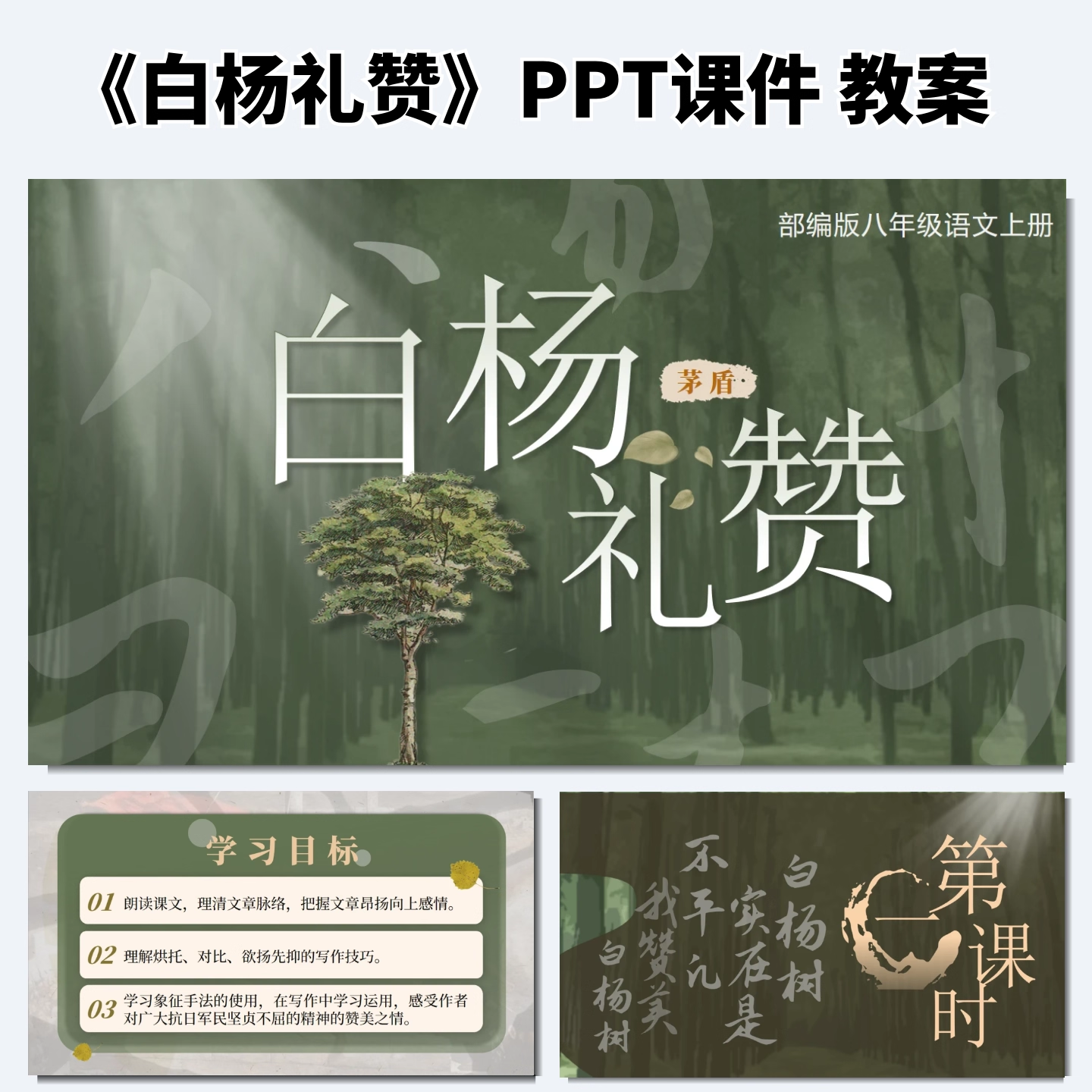 白杨礼赞公开课ppt课件教案教学设计初中语文优质课八年级上册