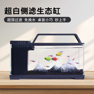 侧滤缸小型桌面带灯带过滤一体自循环懒人鱼缸生态造景超白鱼缸
