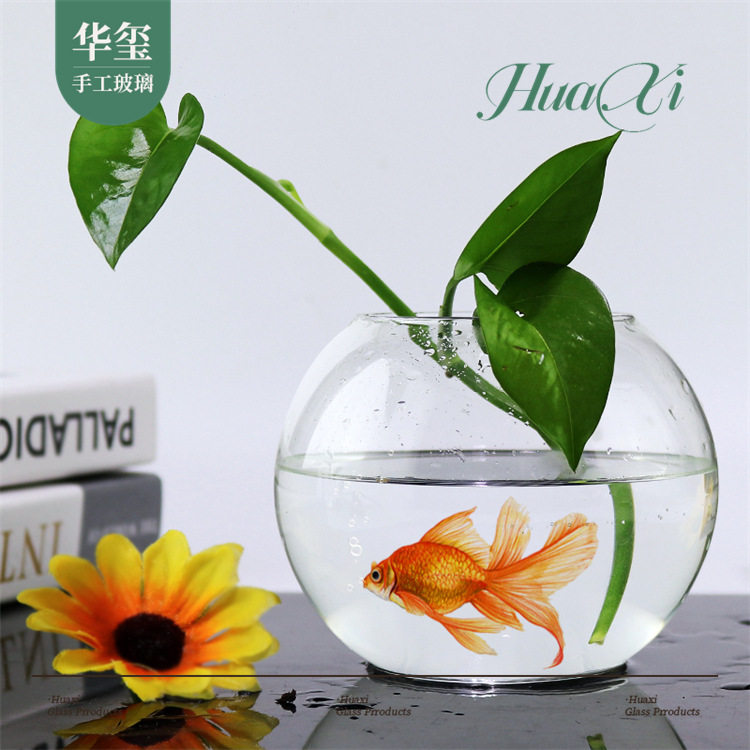 微景观玻璃鱼缸透明水培容器圆形培养皿大肚插花瓶高硼硅生态花盆