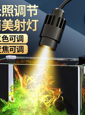 南美缸LED鱼缸南美造景射灯水族水草灯夹灯观赏鱼筒灯可调焦射灯