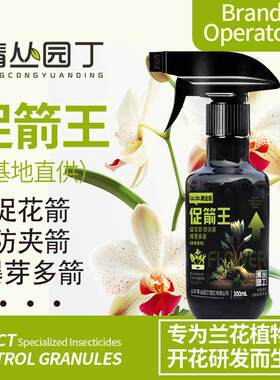 青丛园丁促箭王基地兰花开花专用蝴蝶兰促花箭防夹箭爆芽多箭正品