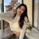 毛衣女秋冬内搭针织打底衫 短款 高级设计感奶fufu软糯高腰上衣白色