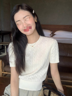 百搭t恤麻花圆领收腰短款 pasun白色复古短袖 薄款 针织衫 上衣 女夏季