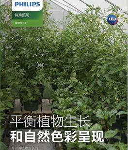 飞利浦SON-T AGRO农用高压钠灯400W植物蔬菜大棚补光灯比利时进口