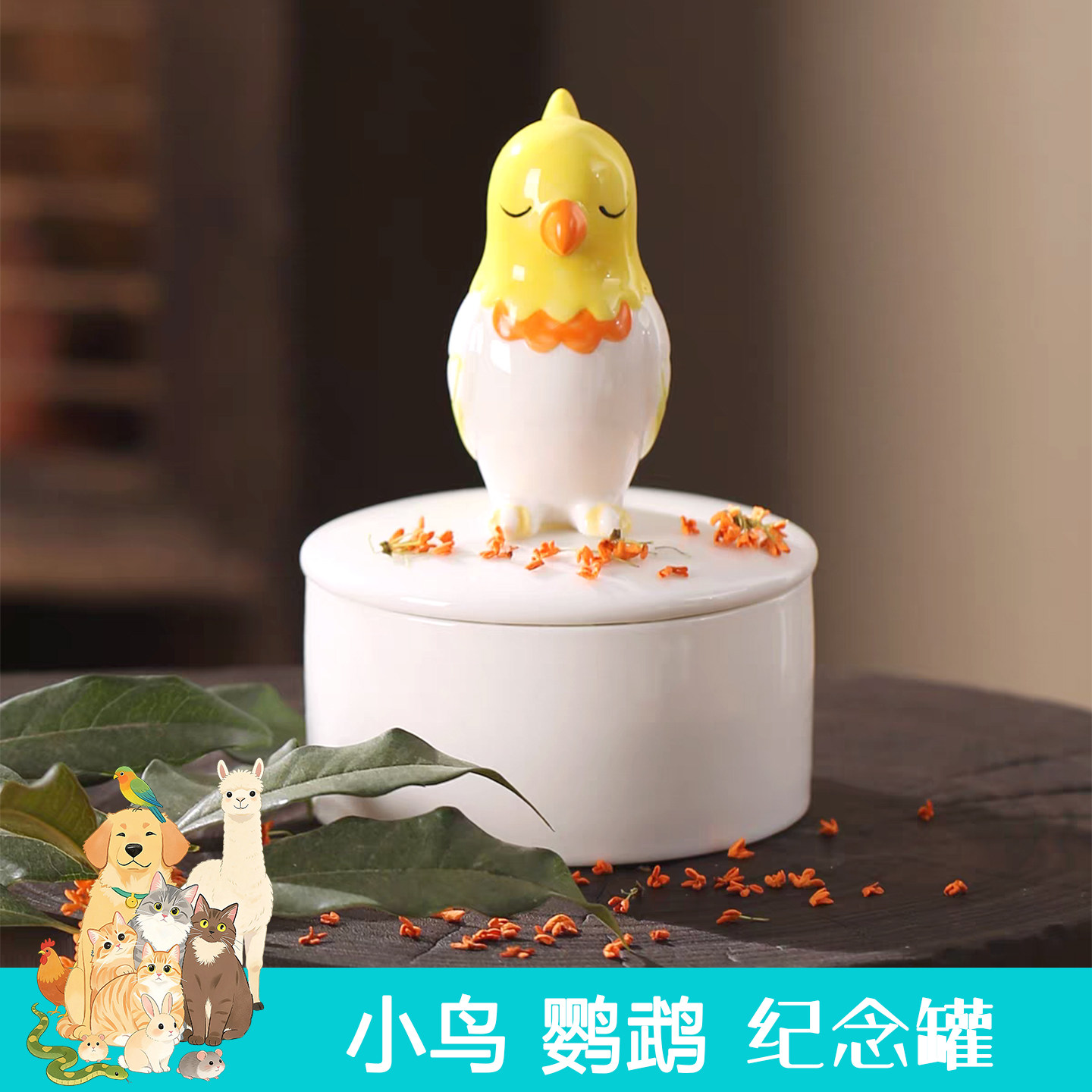 鹦鹉骨灰罐宠物鸟骨灰坛 高档鸟类骨灰盒 火化碎骨收纳殡葬纪念罐,宠物/宠物食品及用品,宠物殡葬用品,淘宝优惠券,粉丝福利购,淘宝优惠卷