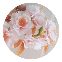 Двойные ломтики вишни толщиной 0,2 мм (их нужно нарезать самостоятельно)