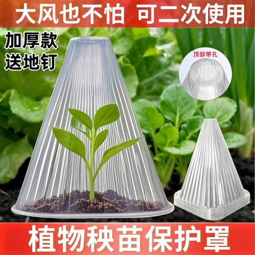 育苗保护罩大号免受霜冻幼苗育苗瓜苗菜苗秧苗防虫防鸟保护罩