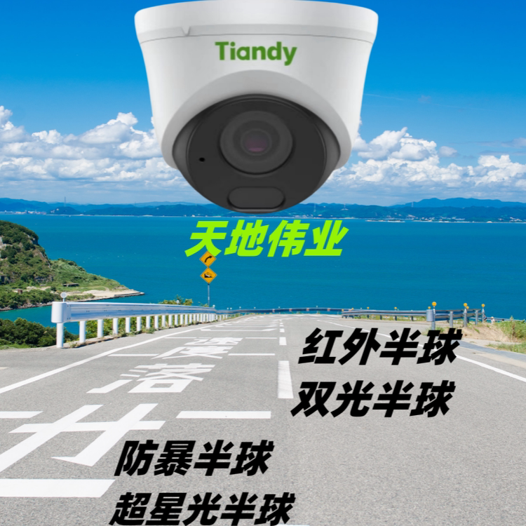 天地伟业摄像机半球双光全彩红外室内2.8mm4mm高清监控poe探头