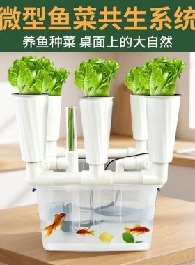 绿阳庭鱼菜共生潮汐虹吸水培花架