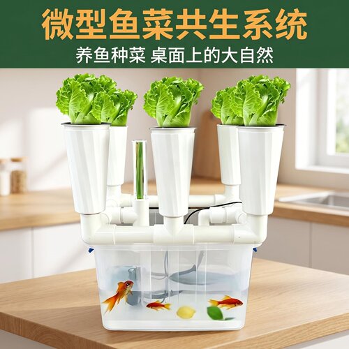 绿阳庭鱼菜共生潮汐虹吸水培花架