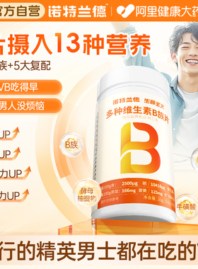 诺特兰德维生素b族复合片多种b2b6b12官方旗舰店正品男士多维女士