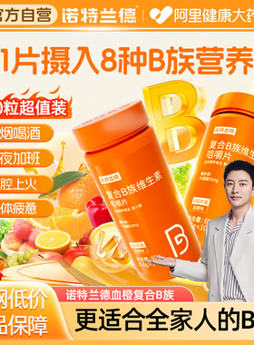 诺特兰德复合维生素b族片官方正品旗舰店vb多种维生素cVC烟酰胺