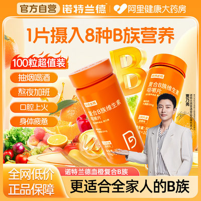 诺特兰德复合维生素b族咀嚼片100