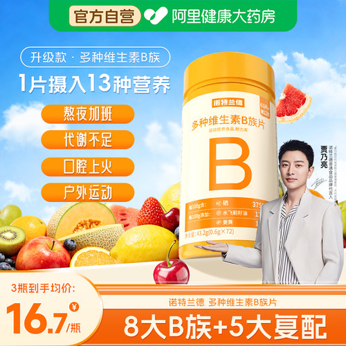 诺特兰德多种维生素B族复合片男女士专用vb维b2b12咀嚼片官方正品