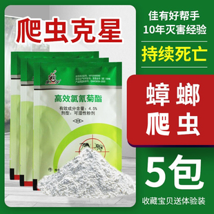 5包装康宇灭绝粉家用室内臭虫克星杀蟑螂药粉床上除臭虫神器环保