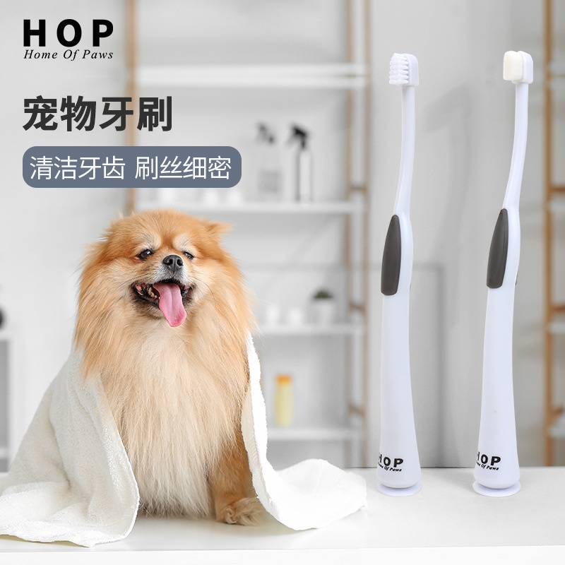 跨境宠物牙刷万根毛猫咪口腔清洁猫牙刷小头狗牙刷宠物用品