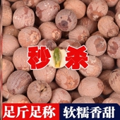 湘潭莲子带芯莲子新鲜带芯带皮红莲子结婚用非无芯碎片中药