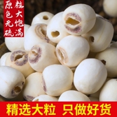 大莲子湖南湘潭白莲子干货有芯带心去芯无心天然中药材去芯湘莲