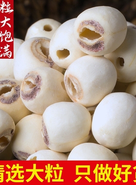 大莲子湖南湘潭白莲子干货有芯带心去芯无心天然中药材去芯湘莲