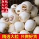 大莲子湖南湘潭白莲子干货有芯带心去芯无心天然中药材去芯湘莲