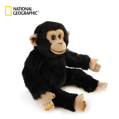 黑猩猩国家地理毛绒玩具仿真动物