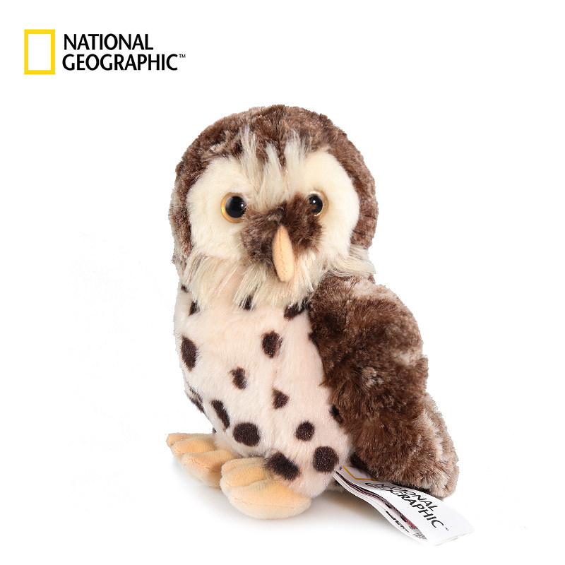 猫头鹰 国家地理毛绒玩具欧洲系列仿真动物玩偶男女生日礼物品