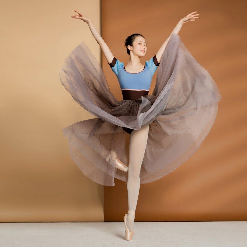 danzbaby芭蕾舞裙仙气飘逸网纱半身裙表演写真tutu裙女舞蹈服281