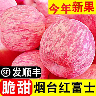 烟台苹果山东红富士正宗新鲜水果大脆甜应当季 栖霞 不打蜡孕妇吃